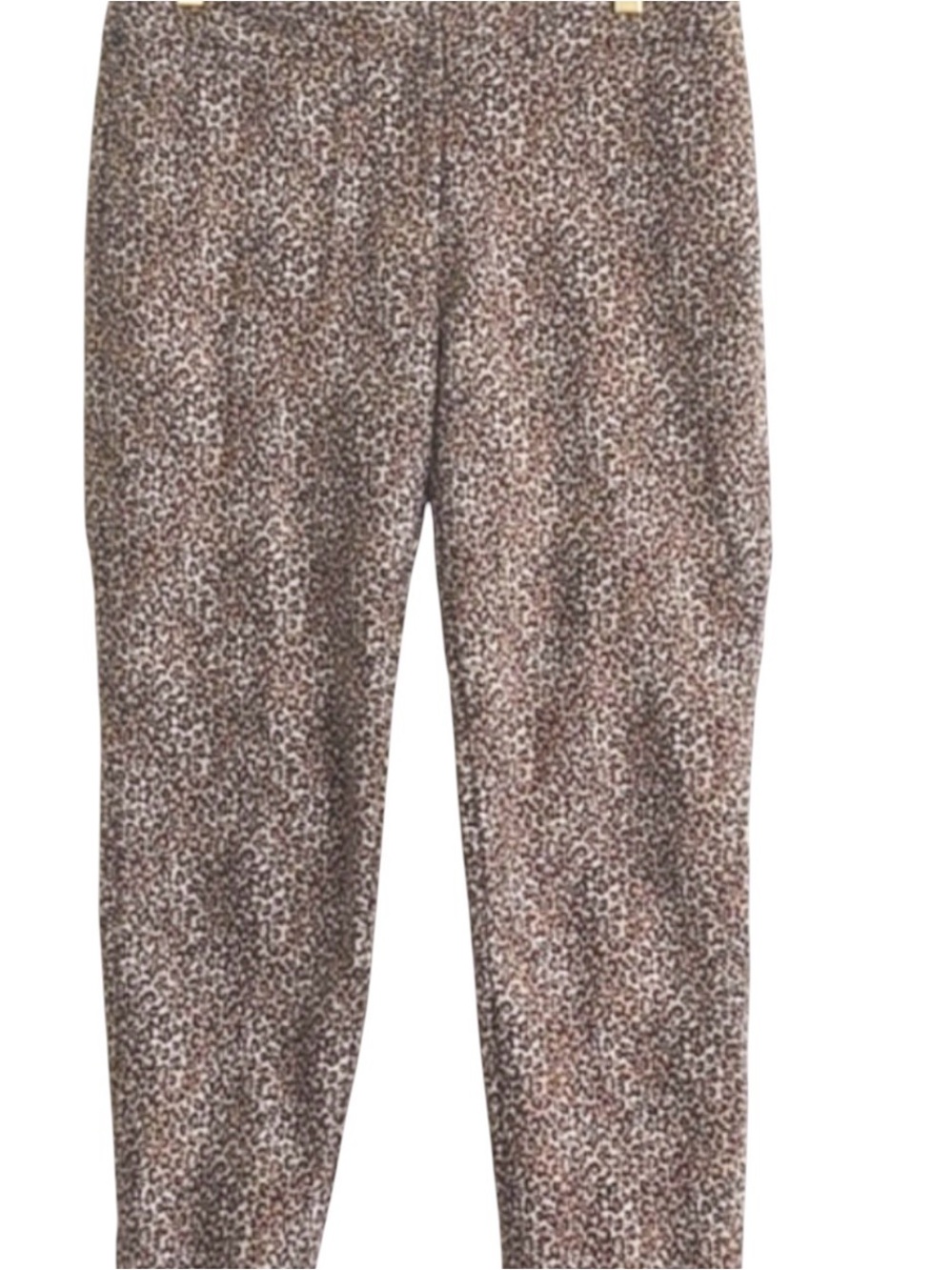 White House Black Mark Animal Cheetah Pant 8